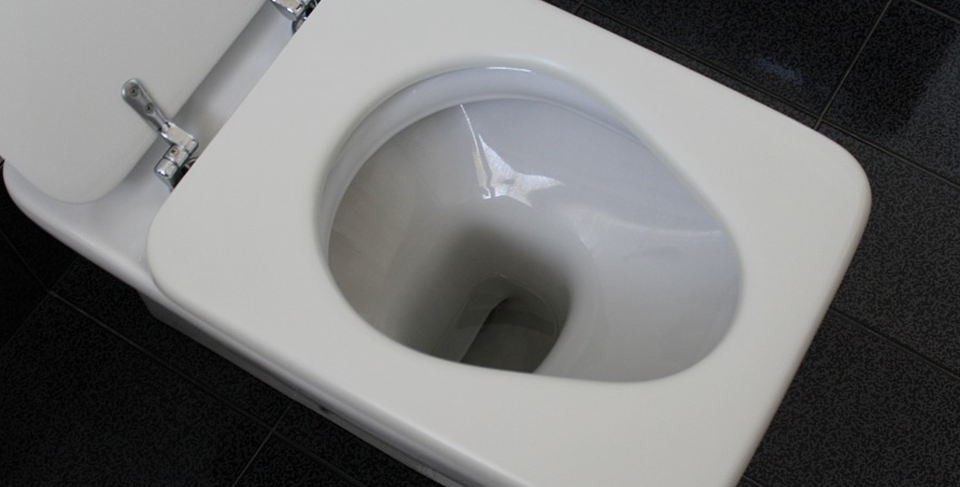 Toilet repairs